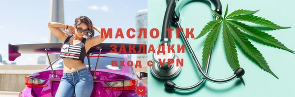индика Протвино