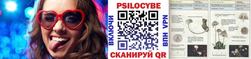 KRAKEN ссылки  Красноуральск  Галлюциногенные грибы Magic Shrooms 